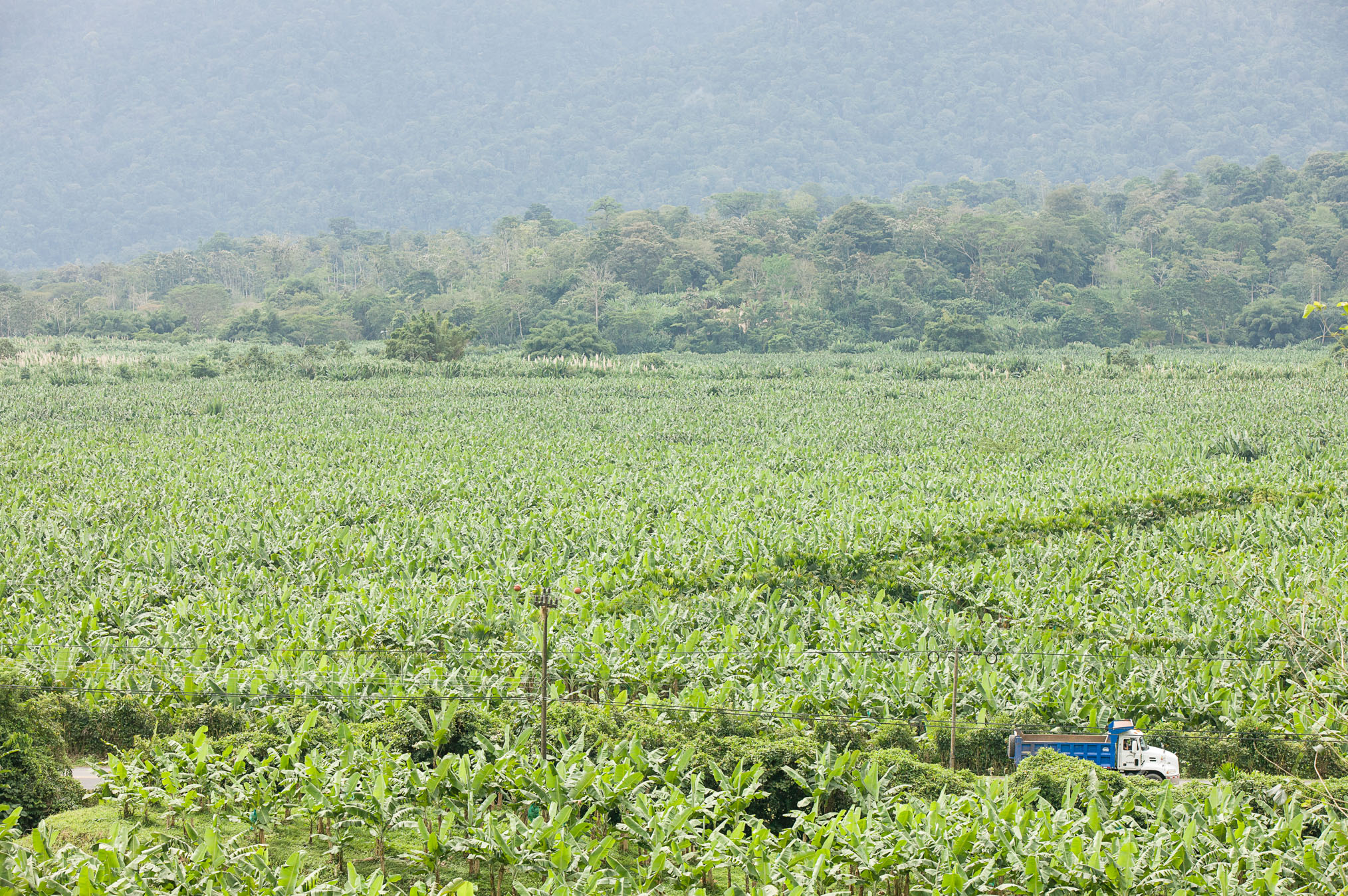 Truck driving through Banana Plantation, Environmental tax to maintain forests in Costa Rica - If Not Us Then Who?