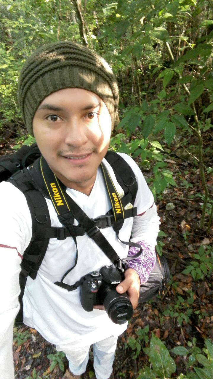 Petén Maya Biosphere Reserve Forest Protection Guatemala